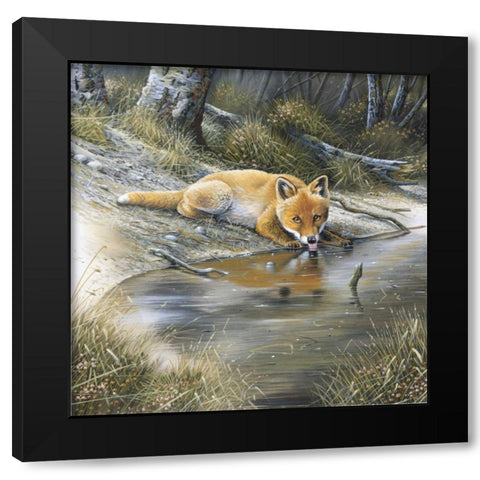 Fox drinking water Black Modern Wood Framed Art Print with Double Matting by Weenink, Jan