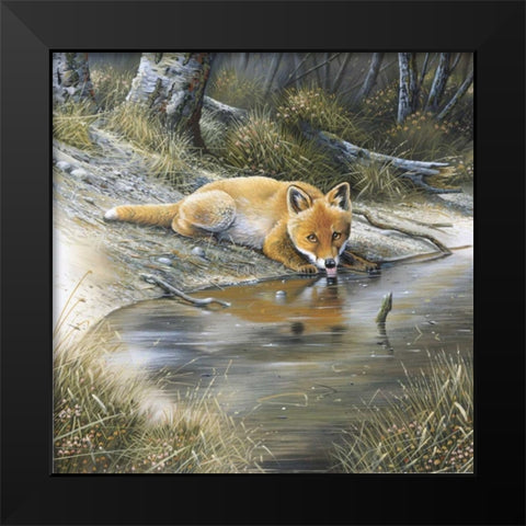 Fox drinking water Black Modern Wood Framed Art Print by Weenink, Jan