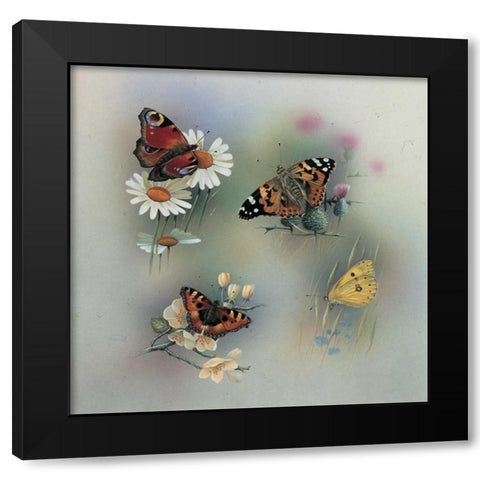 Butterfly composition Black Modern Wood Framed Art Print by Weenink, Jan