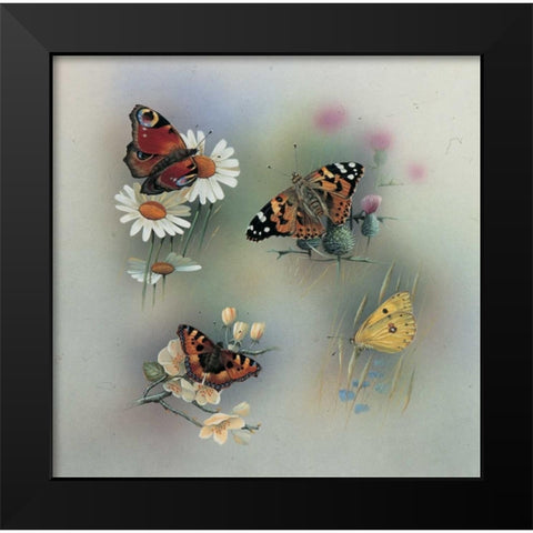 Butterfly composition Black Modern Wood Framed Art Print by Weenink, Jan