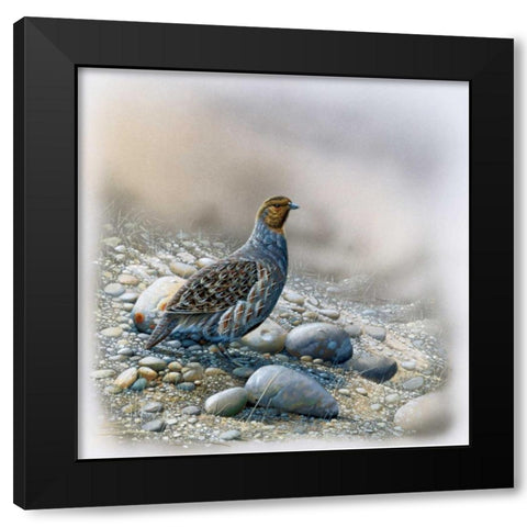 Bird between stones Black Modern Wood Framed Art Print by Weenink, Jan