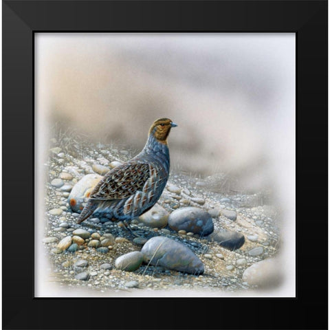 Bird between stones Black Modern Wood Framed Art Print by Weenink, Jan