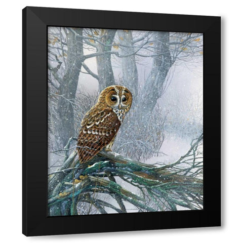 Owl in snowy forest Black Modern Wood Framed Art Print with Double Matting by Weenink, Jan