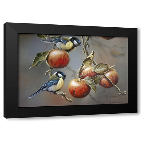 Two birds with apples Black Modern Wood Framed Art Print with Double Matting by Weenink, Jan