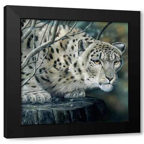 White tiger Black Modern Wood Framed Art Print by Weenink, Jan