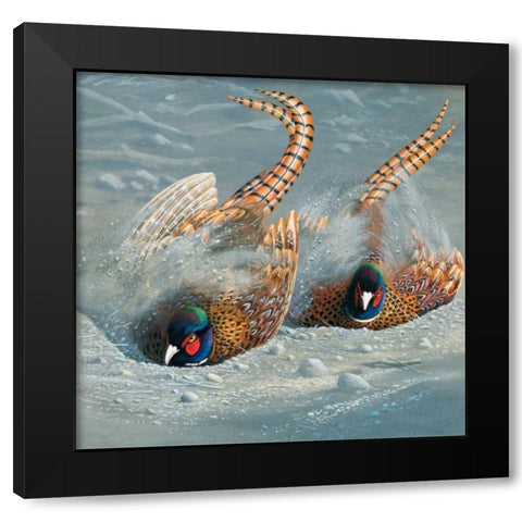 Gold pheasant Black Modern Wood Framed Art Print by Weenink, Jan