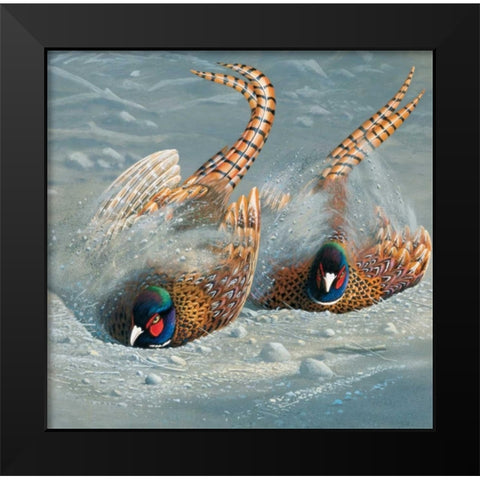 Gold pheasant Black Modern Wood Framed Art Print by Weenink, Jan