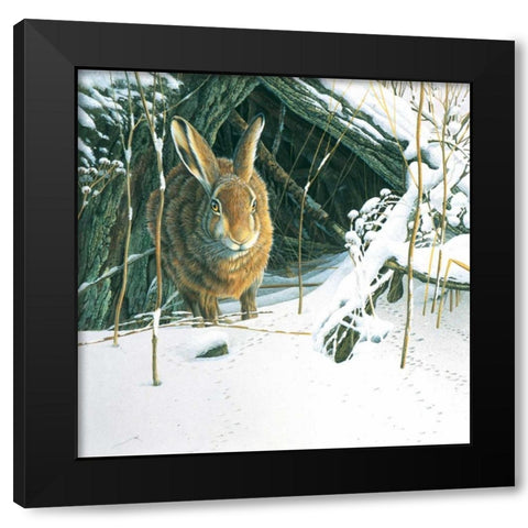 Rabbit  Black Modern Wood Framed Art Print by Weenink, Jan