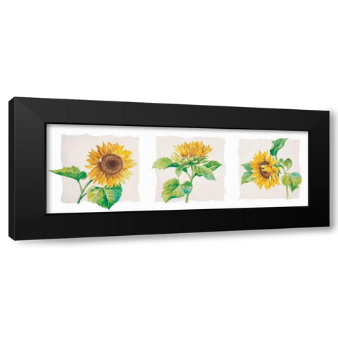 Sunflower triptych Black Modern Wood Framed Art Print with Double Matting by Kumorek, Krysztov