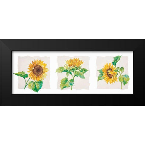 Sunflower triptych Black Modern Wood Framed Art Print by Kumorek, Krysztov