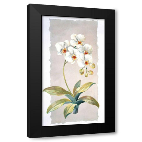 Orchid Black Modern Wood Framed Art Print with Double Matting by Kumorek, Krysztov