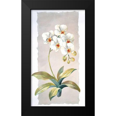 Orchid Black Modern Wood Framed Art Print by Kumorek, Krysztov
