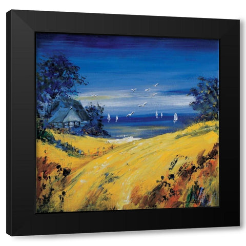 The sea and birds Black Modern Wood Framed Art Print with Double Matting by Schottler, Katharina