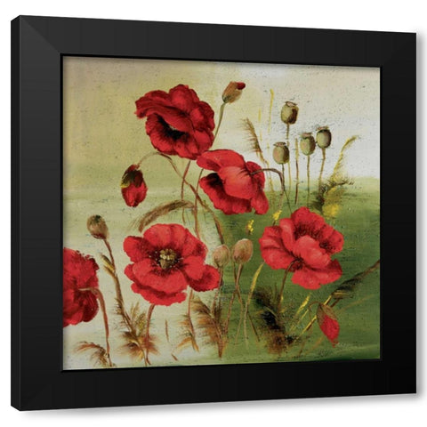 Red poppies composition I Black Modern Wood Framed Art Print with Double Matting by Schottler, Katharina
