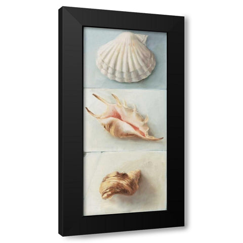 Shell selection I Black Modern Wood Framed Art Print by du Ciel, Milieu