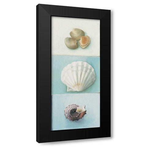 Shell selection III Black Modern Wood Framed Art Print by du Ciel, Milieu