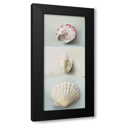 Shell selection IV Black Modern Wood Framed Art Print by du Ciel, Milieu