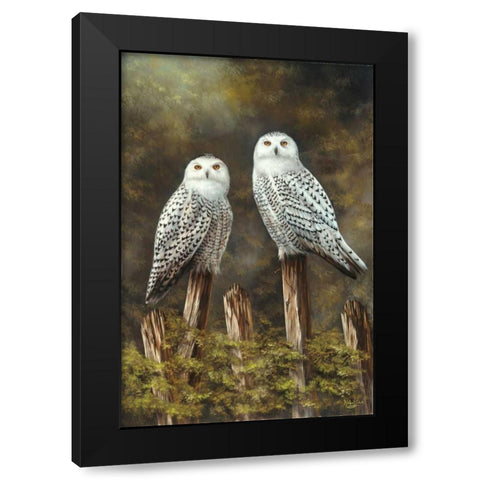 Two Owls Black Modern Wood Framed Art Print with Double Matting by Schutte, Michel