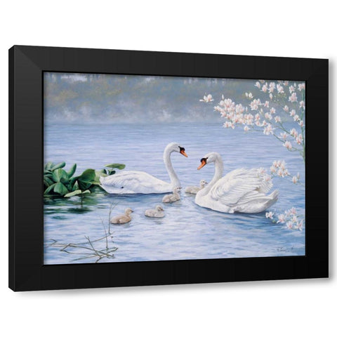 Proud swan family Black Modern Wood Framed Art Print with Double Matting by Motz, Peter