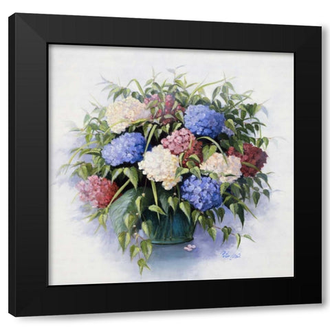 Mixed Hydrangia Black Modern Wood Framed Art Print with Double Matting by Motz, Peter