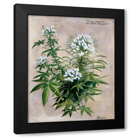 Botanical bouquet II Black Modern Wood Framed Art Print by Motz, Peter
