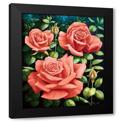 Roses Black Modern Wood Framed Art Print with Double Matting by Motz, Peter