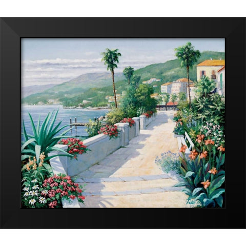 Costa del Pietro I Black Modern Wood Framed Art Print by Motz, Peter