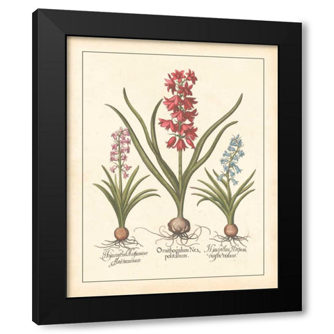 DETAILED FLORAL I Black Modern Wood Framed Art Print with Double Matting by Artique Studio