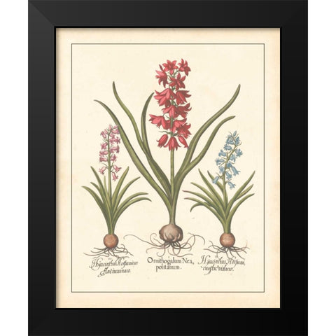 DETAILED FLORAL I Black Modern Wood Framed Art Print by Artique Studio