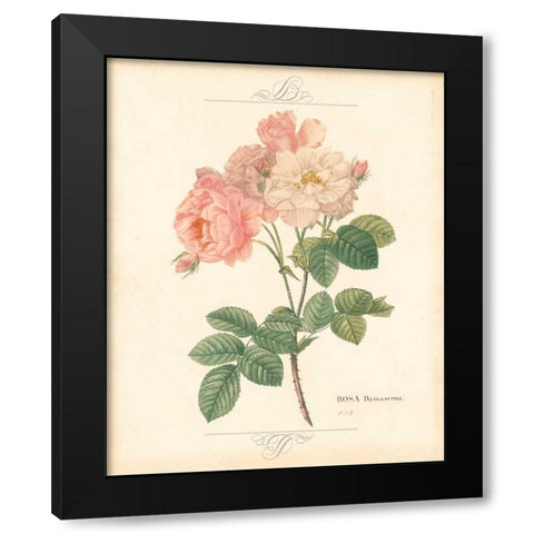 DETAILED FLORAL II Black Modern Wood Framed Art Print with Double Matting by Artique Studio