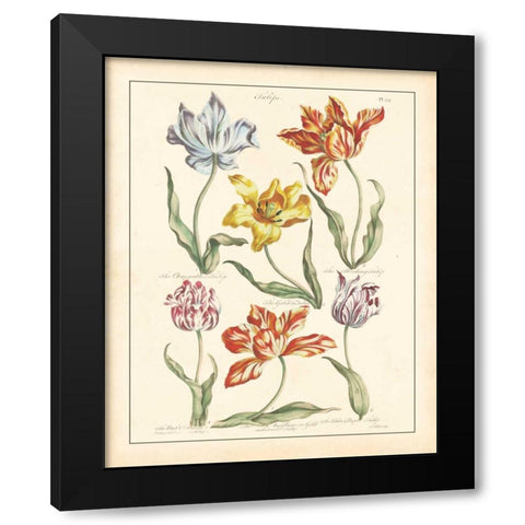 DETAILED FLORAL IV Black Modern Wood Framed Art Print with Double Matting by Artique Studio