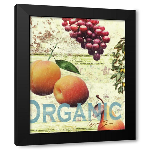 ORGANIC FRUITS Black Modern Wood Framed Art Print with Double Matting by Yang, Eric