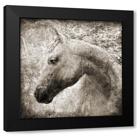 MAJESTIC HORSE Black Modern Wood Framed Art Print with Double Matting by Yang, Eric