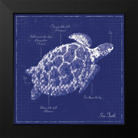 BLUEPRINT SEA TURTLE Black Modern Wood Framed Art Print by Ballantyne, Piper