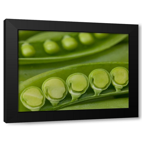 sugar snap peas pods close up Black Modern Wood Framed Art Print by Frank, Assaf