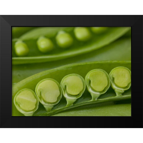 sugar snap peas pods close up Black Modern Wood Framed Art Print by Frank, Assaf