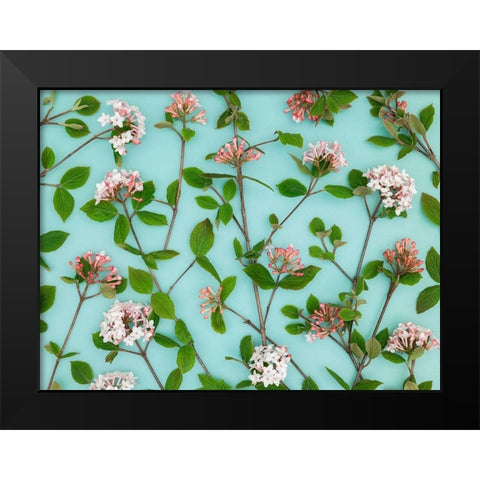 Viburnum Juddii flowers Black Modern Wood Framed Art Print by Frank, Assaf