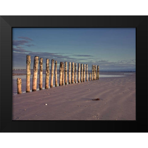 Groynes at ast head beach, West Susex coast Black Modern Wood Framed Art Print by Frank, Assaf