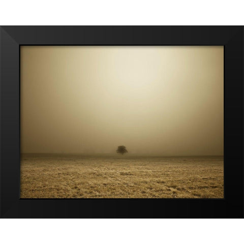 Single Tree in mist and fog Black Modern Wood Framed Art Print by Frank, Assaf