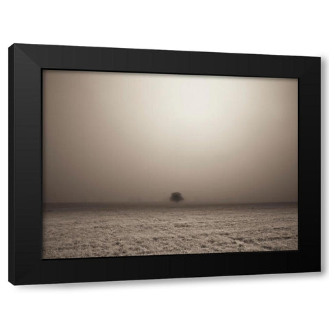 Single Tree in mist and fog Black Modern Wood Framed Art Print by Frank, Assaf