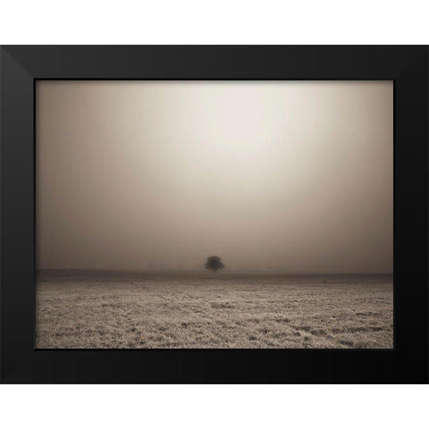Single Tree in mist and fog Black Modern Wood Framed Art Print by Frank, Assaf