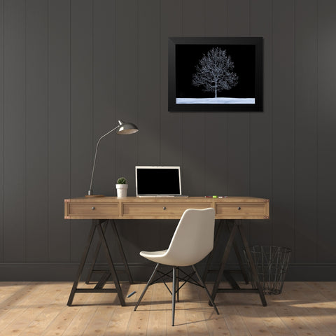 Single tree against skies in snow Black Modern Wood Framed Art Print by Frank, Assaf
