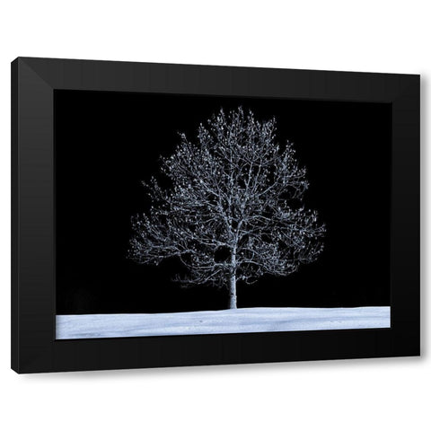 Single tree against skies in snow Black Modern Wood Framed Art Print by Frank, Assaf