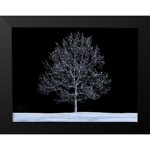 Single tree against skies in snow Black Modern Wood Framed Art Print by Frank, Assaf
