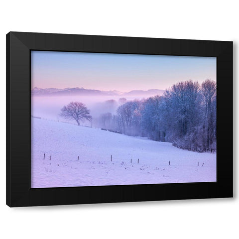 Winter landsacpe in Switzerland Black Modern Wood Framed Art Print by Frank, Assaf