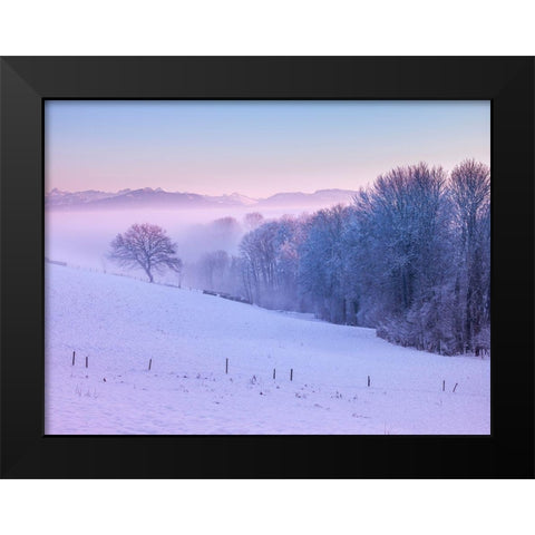Winter landsacpe in Switzerland Black Modern Wood Framed Art Print by Frank, Assaf
