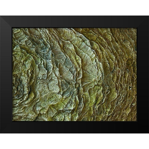 Frosty rock surface Black Modern Wood Framed Art Print by Frank, Assaf