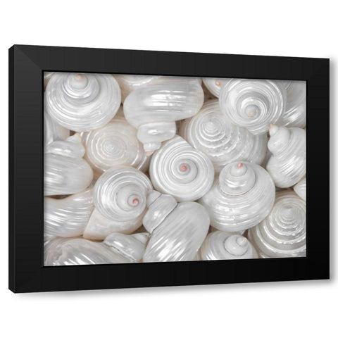 Mixed pearly sea shells close-up Black Modern Wood Framed Art Print by Frank, Assaf