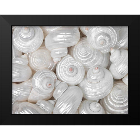 Mixed pearly sea shells close-up Black Modern Wood Framed Art Print by Frank, Assaf
