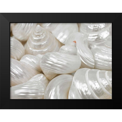 Mixed pearly sea shells close-up Black Modern Wood Framed Art Print by Frank, Assaf
